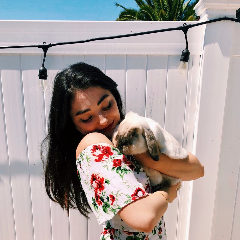 Meet your Posher, Sophia - Picture 4 of 7